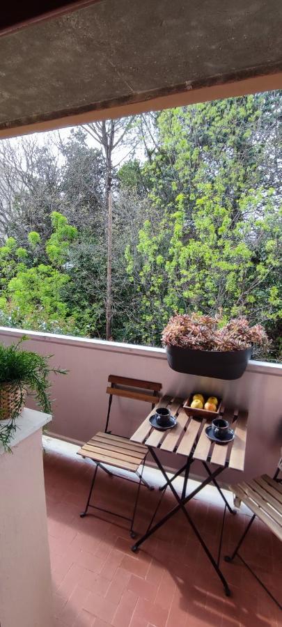 Michelet Studio Climatise Avec Balcon Et Parking Ferme モンペリエ エクステリア 写真